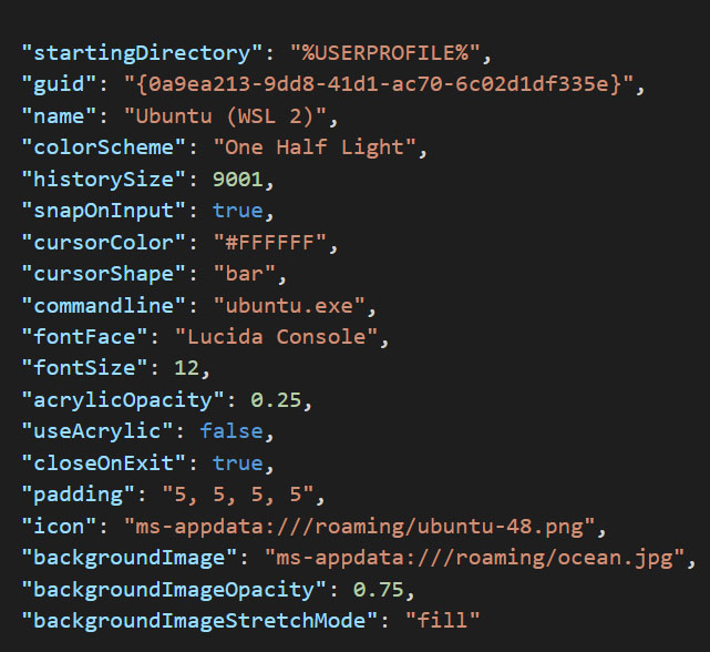 profile.json file windows terminal json file edit